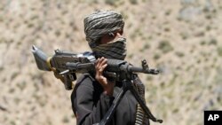 شمار دقیق پیارجویان طالب در ولایت هملند مشخص نیست