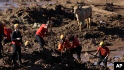 Firefighters look for victims of a dam collapse in Brumadinho, Brazil, Monday, Jan. 28, 2019. (AP Photo/Leo Correa)