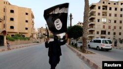 Arhiv - Pripadnik Islamske države drži zastavu i oružje u ruci, Raka, 2014.