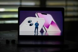 تیم کوک مدیر عامل اپل