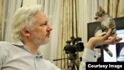 Džulijan Asanž sa svojim kućnim ljubimcem