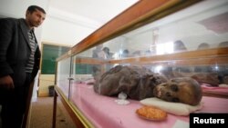 A man looks at a mummy dating back to an ancient Yemen era displayed at a museum at Sana'a University, in Sana'a, April 29, 2017. 