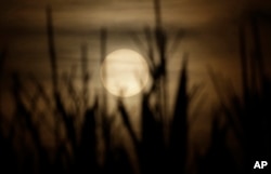 FILE - In this July 25, 2019, photo, the sun sets in Cuggiono near Milan, Italy. A new U.N. report says climate change is hitting us where it counts: the stomach. The report on , Aug. 8, 2019, finds that as the world warms it degrades the land more.