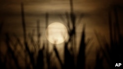 FILE - In this July 25, 2019, photo, the sun sets in Cuggiono near Milan, Italy. A new U.N. report says climate change is hitting us where it counts: the stomach. The report on, Aug. 8, 2019, finds that as the world warms it degrades the land more.