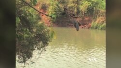 Homicide Mystery Deepens in Case of Kenya ICC Witness