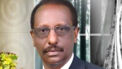 ቃለ መሕተት አማኻሪ ሚኒስትሪ ጥዕና ኤርትራ ዶ/ር ምስማይ ገ/ሂወት