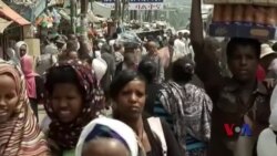 巴拿马文件披露的避税港伤害贫困国家