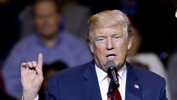 "ዲሞክራሲ በተግባር"