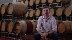 Growing Grapes into Wine is an Art and Science