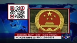 时事大家谈：《红旗文稿》批大V“反党”，释放不寻常信号？