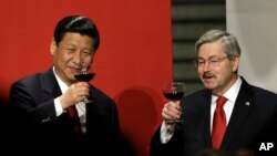 អនុប្រធានាធិបតី​ប្រទេស​ចិន​ Xi Jinping និង​អភិបាល​រដ្ឋ Iowa លោក Terry Branstad លើក​កែវ​ស្រា​ជល់គ្នា​ក្នុង​ការ​ពិសារ​អាហារ​ពេល​ល្ងាច​នៅ Iowa Statehouse ក្នុង​ទីក្រុង​ Des Moines រដ្ឋ Iowa កាល​ពី​ថ្ងៃទី​១៥ កុម្ភៈ ២០១២។