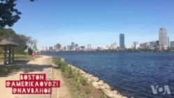 Mobil-salom: O'zbekiston va dunyo