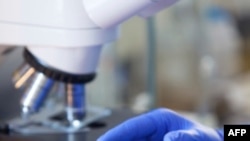 Các nhà sinh học tái tạo các bước quan trọng trong tiến hóa của đời sống