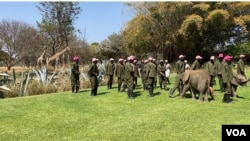 Des travailleurs d'un parc au Zimbabwe, à l'extérieur de Harare, le 23 septembre 2020, dansant dans le Jerusalema Dance Challenge. (Columbus Mavhunga / VOA)
