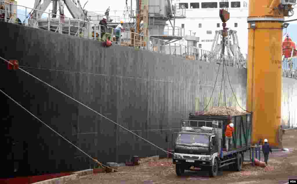 Workers load woodchips on to a ship at Cam Ranh Bay Port, Vietnam. (D. Schearf/VOA)
