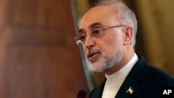 Direktur Organisasi Energi Atom Iran, Ali Akbar Salehi 