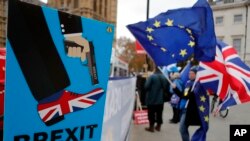 Demonstranti ispred zgrade britanskog parlamenta u Londonu. 