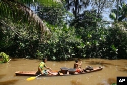 FILE - A small boat transports baskets with acai berries near Belem, northern Brazil, May 17, 2007. Acai is one of the trees cultivated by the ancient peoples in the Amazon.
