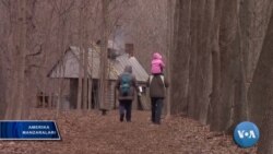 Amerika milliy parklarida