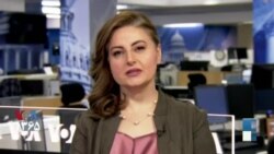 ۷ روز در یک نگاه