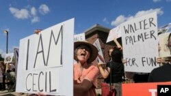 ក្រុម​បាតុករ​ប្រមូល​ផ្តុំគ្នា​នៅ​ខាងក្រៅ​ការិយាល័យ​ទន្តពេទ្យ​របស់​វេជ្ជបណ្ឌិត​ Walter James Palmer ក្នុង​ទីក្រុង​ Bloomington រដ្ឋ Minnesota សហរដ្ឋអាមេរិក កាល​ពីថ្ងៃ២៩ ​ខែកក្កដា ឆ្នាំ២០១៥។ តាម​សេចក្តី​រាយការណ៍ ​Palmer បាន​ចំណាយ​ប្រាក់​៥០.០០០​ដុល្លារ​ដើម្បី​តាម​ដាន​និង​សម្លាប់​សត្វ​តោ​នេះ។