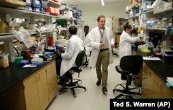 Dr. William Hahn, who is working on malaria research, walks through a research lab at the University of Washington's UW Medicine South Lake Union Campus.