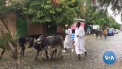 1 ሺህ 441ኛው የኢድ አል አድሃ በዓል