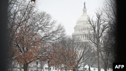 Anggota Garda Nasional terlihat melalui pagar dalam batas aman yang mengelilingi lapangan US Capitol di Washington, DC pada 31 Januari 2021. (Foto: AFP)