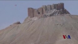 巴尔米拉开始重建