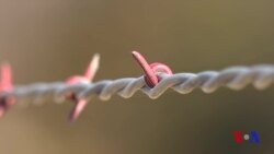 Kanzas ahli Trampdan mamnun