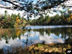 Conservationists believe 2.5 million hectares of protected mountain wilderness in New York have helped boost the moose population.