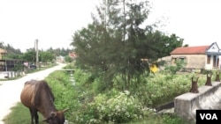 While Vietnam has made large strides in reducing poverty, its rural areas remain a key source of human trafficking victims.