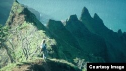 Steve Perlman, on the Kalalau cliffs on Kauai, Hawaii, pioneered rappelling down high cliffs to save endangered plant species. (Photo by Ken Wood)