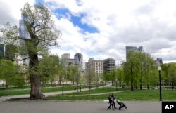 In this May 3, 2017 photo, a couple walks with a child in the Boston Common, a park surrounded by buildings in downtown Boston.