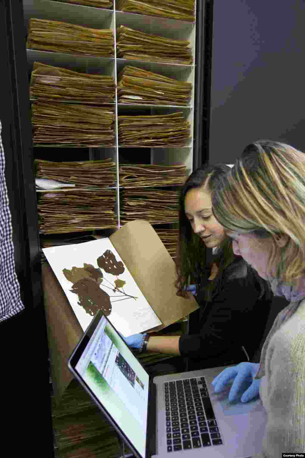 Lesya Litvinova shows a rubber bullet that she wears to remind herself why she is a volunteer,&nbsp;​June 3, 2015. (Daniel Schearf/VOA)