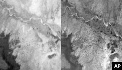 Aerial photography shows the dramatic increase in trees (in black) on land near Galma, Niger, from 1975 (left) to 2002 (right).