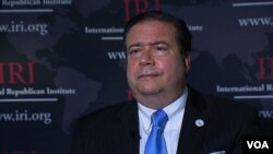 საერთაშორისო რესპუბლიკური ინსტიტუტის ევრაზიის პროგრამების დირექტორი სტივ ნიქსი 