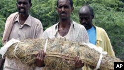 Gawan wani da aka kashe.