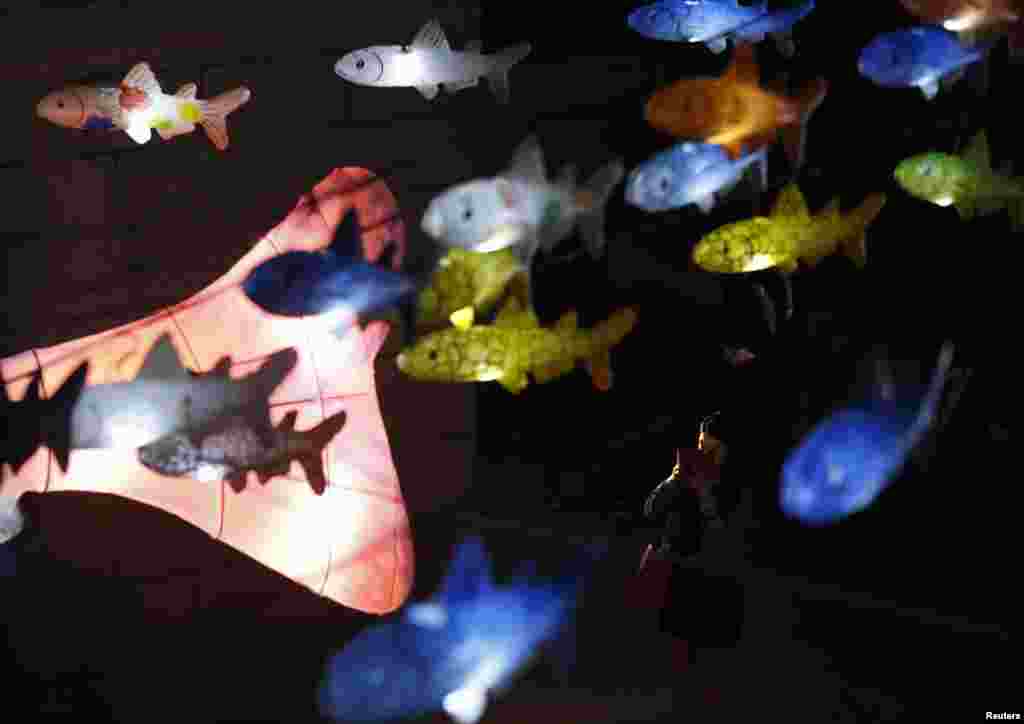 Seorang perempuan memotret lentera berbentuk ikan dalam Festival Lentera Seoul Tahun 2013 di Cheonggye, di pusat kota Seoul, Korea Selatan.