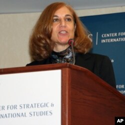 战略与国际研究中心资深研究员葛来仪