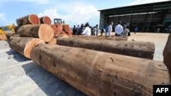 Complexe de transformation du bois à la Société Nationale des Bois du Gabon (SNBG) à Owendo, port de Libreville, 11 octobre 2012. 