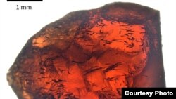 This image shows a garnet crystal with distinct tubular structures. (Photo courtesy of Ivarsson et al, 2018)