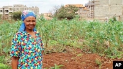 Kenya’s urban farmers often use wastewater to grow their crops because it’s free and has the added advantage of fertilizing their plants
