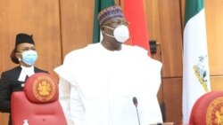 Shugaban Majalisar Dattawa Sanata Ahmad Lawan (Facebook/ Nigerian Senate)
