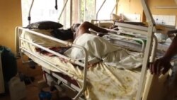 Maladi ya ndeke: kindoki to bokono lokola makono masusu?