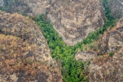 An aerial view of Wollemi National Park where endangered Wollemi Pines are being protected from bush fires by a specialist team of remote-area firefighters and parks staff at New South Wales, Australia, mid-January 2020.