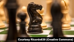 កូនអុក​សម្រាប់​លេង​កីឡា​អុក។ 