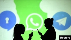 资料照：社交媒体Signal, Whatsapp 与Telegram 出现在一个画面上。