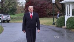 Trump Defends Tear Gassing Migrants