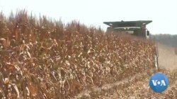 US Farmers Look for Policy Clues in Biden Cabinet Picks